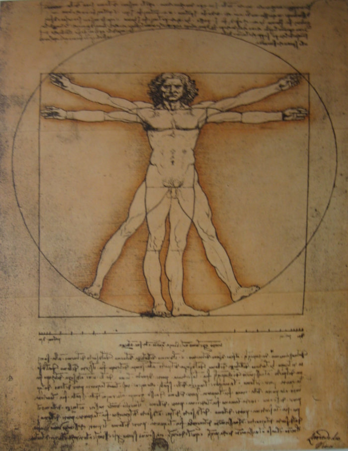 Da Vinci Vitruvianischer Mensch